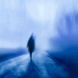 在线观看男同视频
